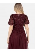 La Qayara Cranberry Red Sequin Georgette Maxi Dress with Flared Tulle Skirt