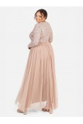 La Qayara Taupe Blush Sequin Embellished Georgette Maxi Dress with Soft Net Layered Skirt