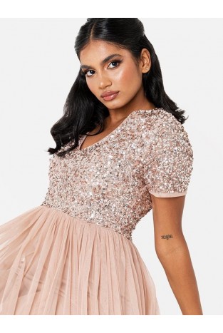 La Qayara Beige Embellished Georgette & Soft Net Maxi Gown for Women