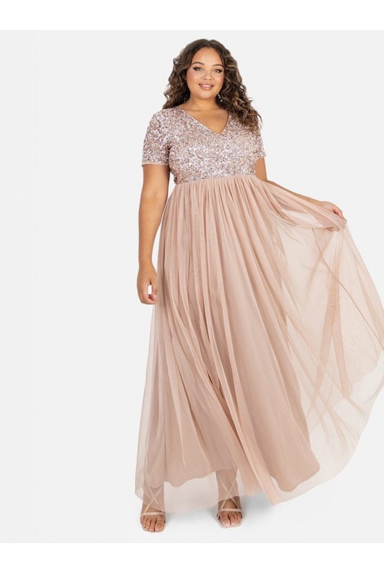 La Qayara Beige Embellished Georgette & Soft Net Maxi Gown for Women