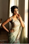 Dusky Organza Enchantment Saree