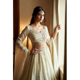 Dusky Organza Enchantment Saree